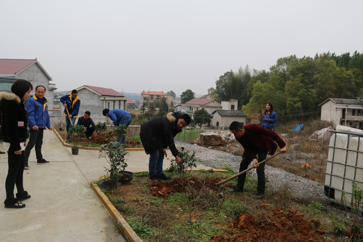 益婁14標學雷鋒義務植樹活動
